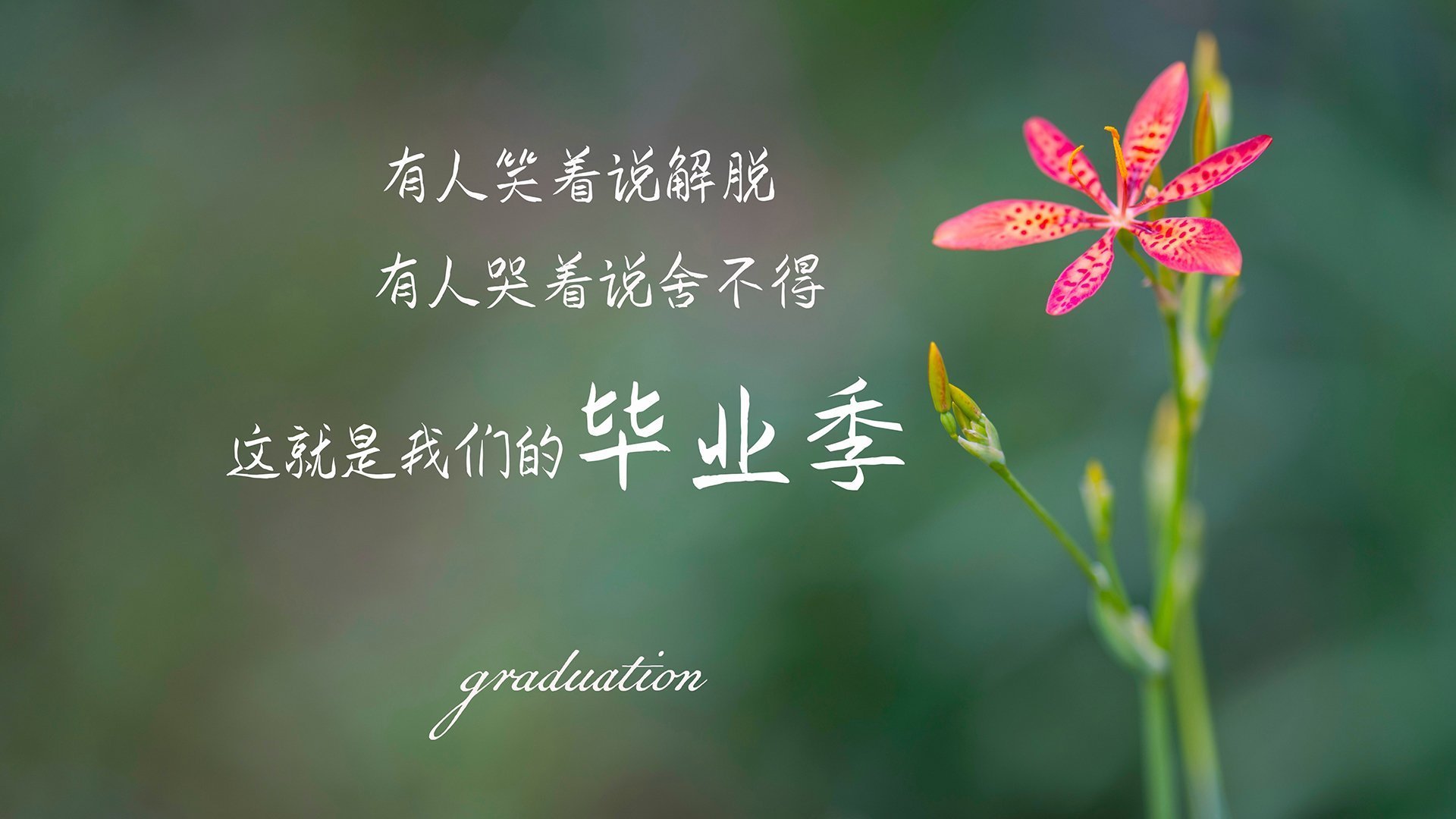 九游娱乐-孙可梅开二度成英雄，国安主场告捷重新登顶，孙可安个人资料