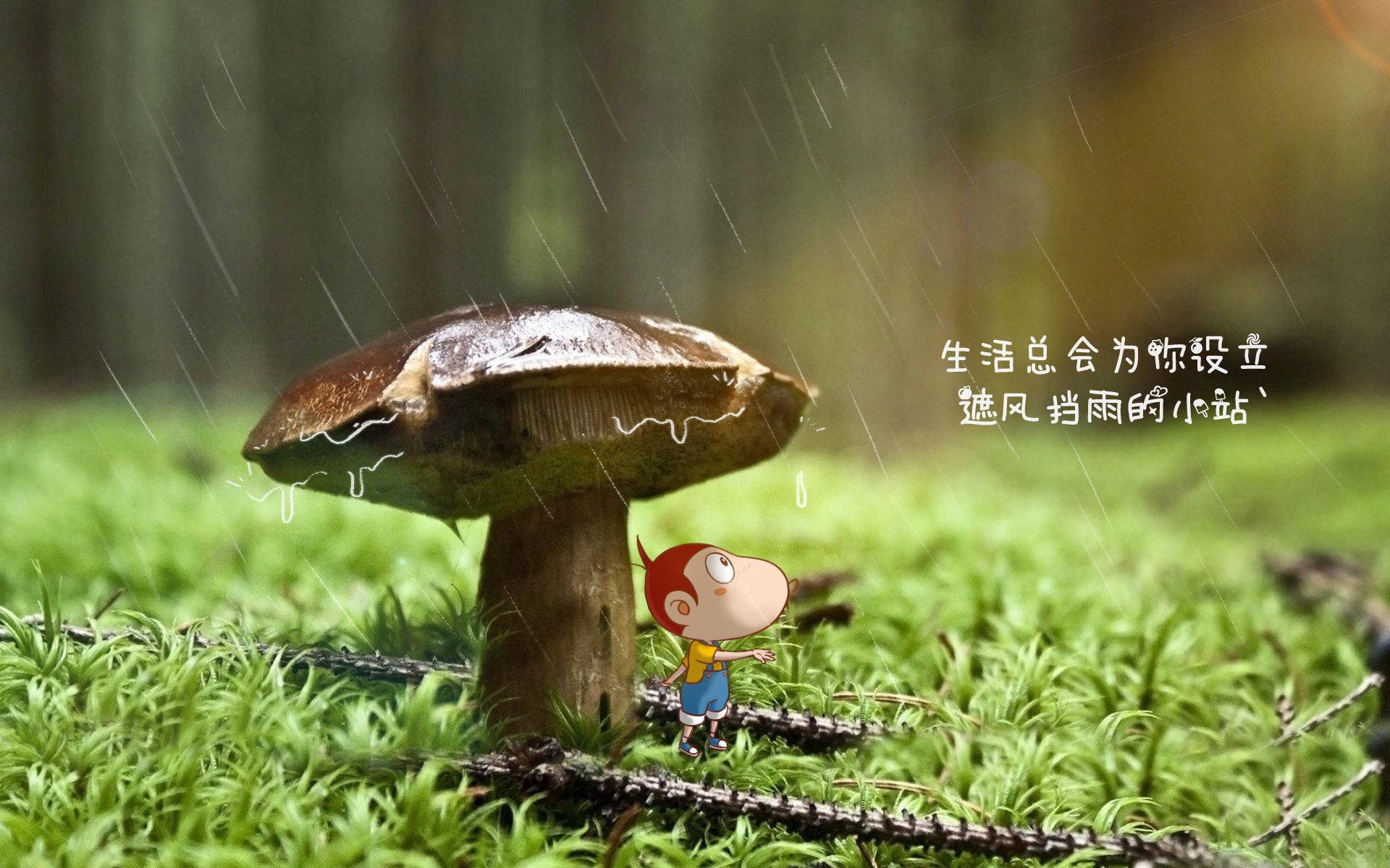 九游网页版官网入口-河床篮球队防守端提升明显，河床队又叫什么