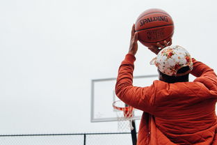 九游sports-篮球运动员训练计划科学制定，篮球训练计划制定的步骤