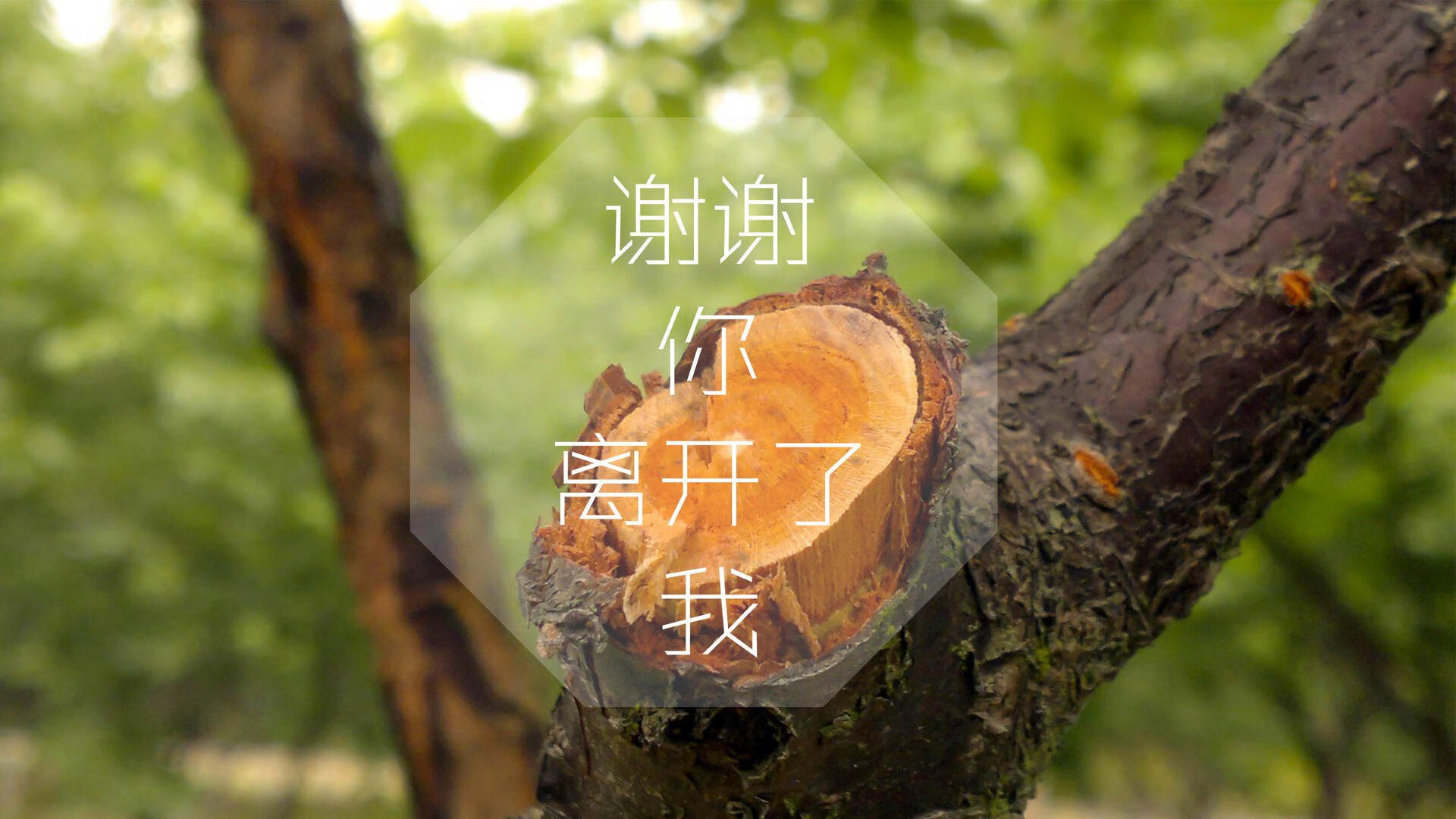男篮国家队实施双队长制度增强队内沟通效率，最新男篮国家队队长