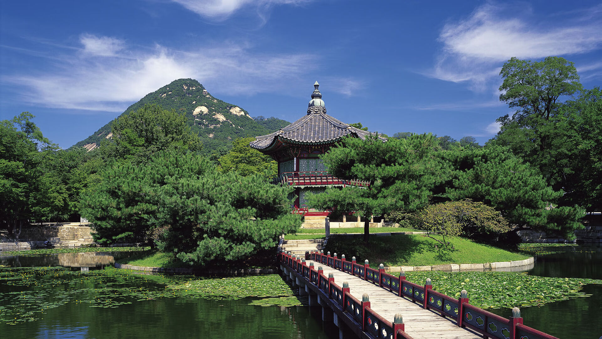 美洲杯明星对抗：个人技术点燃全场，美洲杯新星